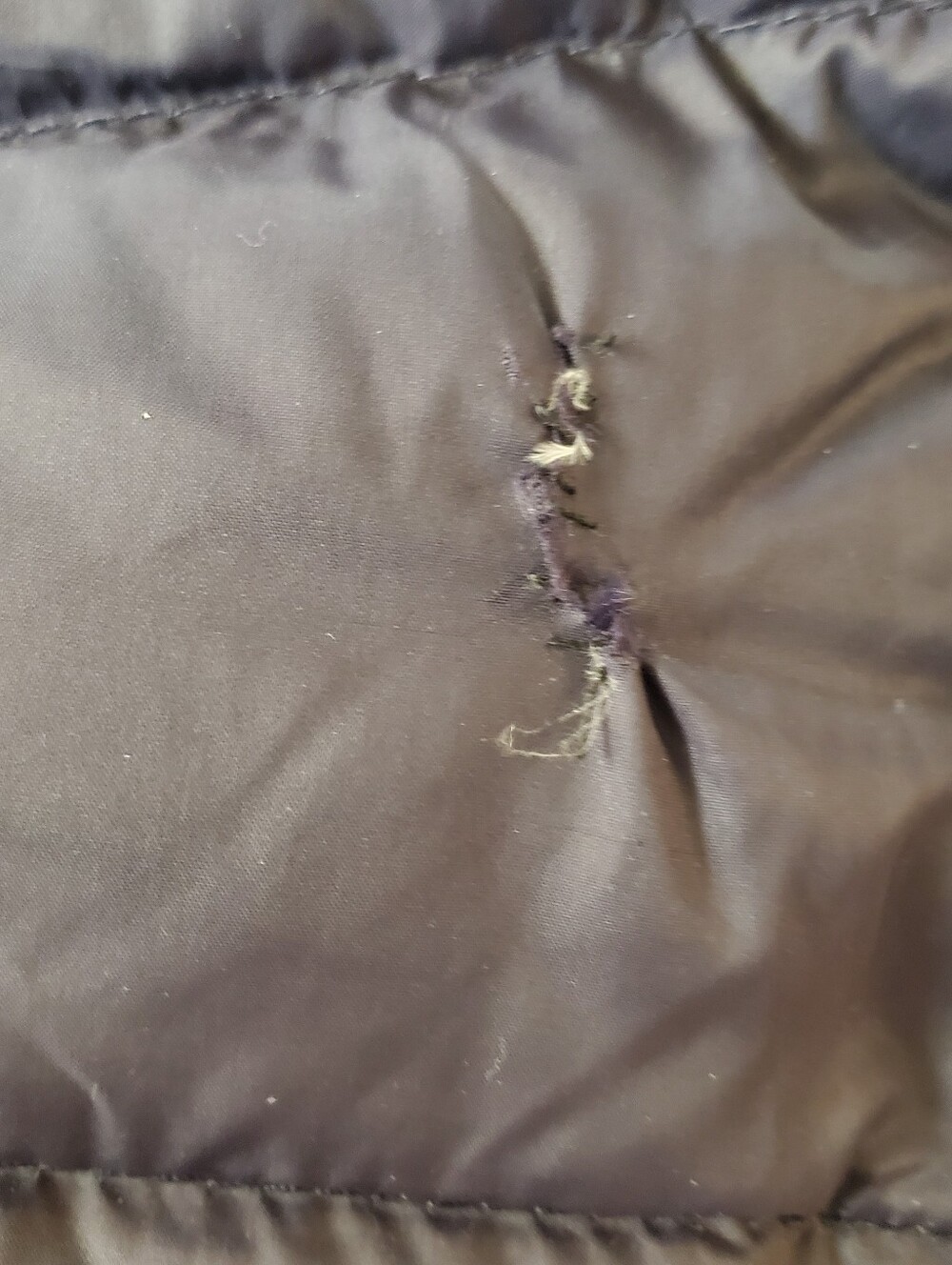 Down Jacket - Picture 13 of 16